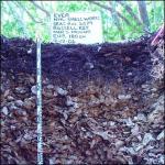 Excavating