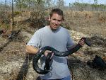Person holding an Eastern indigo snake