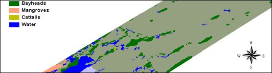 Vegetation Map of Transect #6