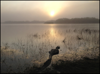 Nine Mile Pond