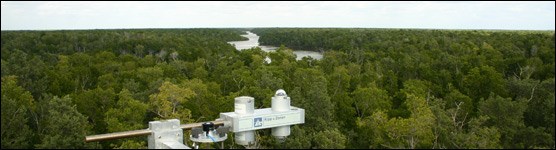 Research Instruments Overlooking the Mangrove Forest