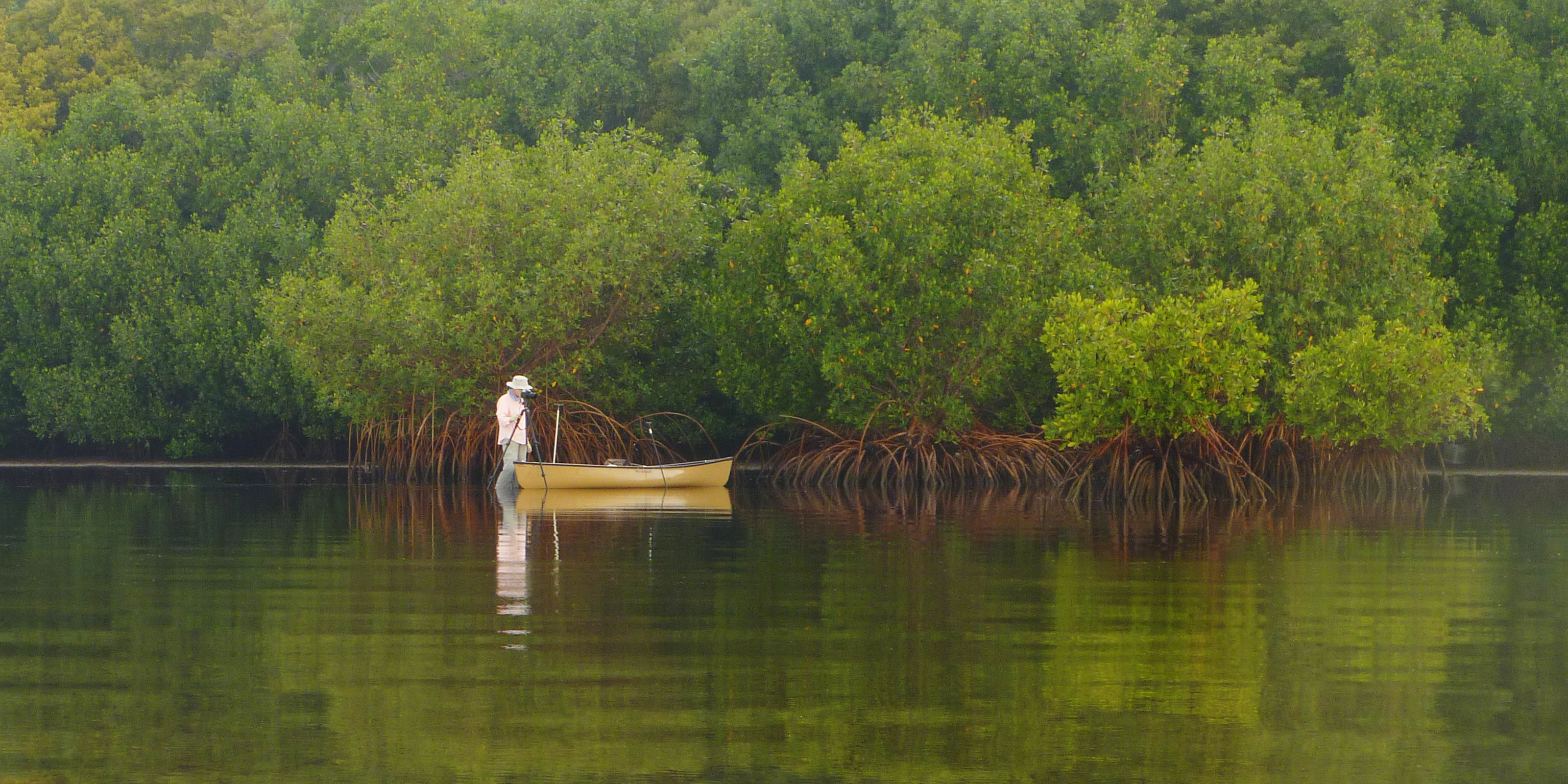 A person canoes