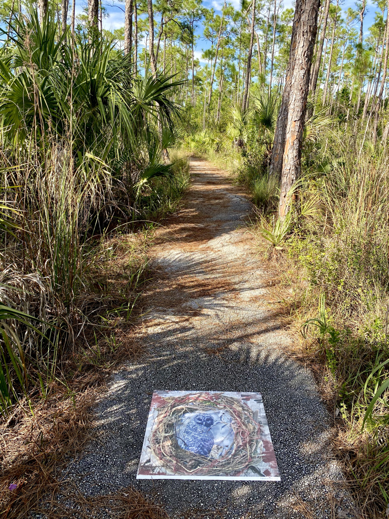 Artwork depicting an owl on the pavement of the Pineleands Trail