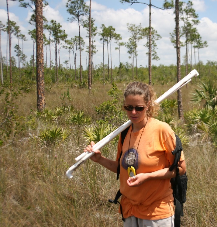 biologist in the pinelands