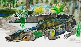 Alligator by Frank Duval