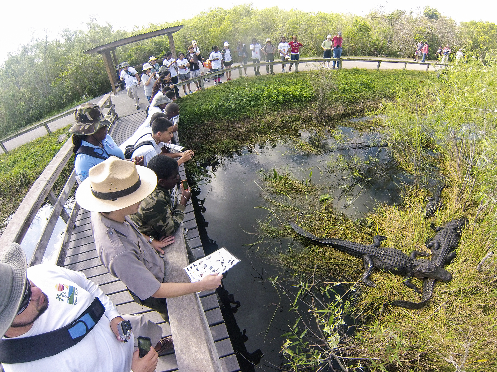 Everglades National Park is Open!