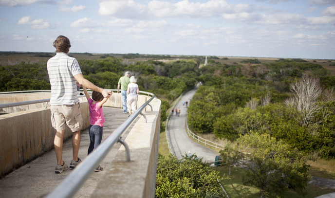 A father and child stand at the observation tower in Shark Valley.
