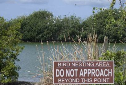 Paurotis Pond closed for Nesting Birds