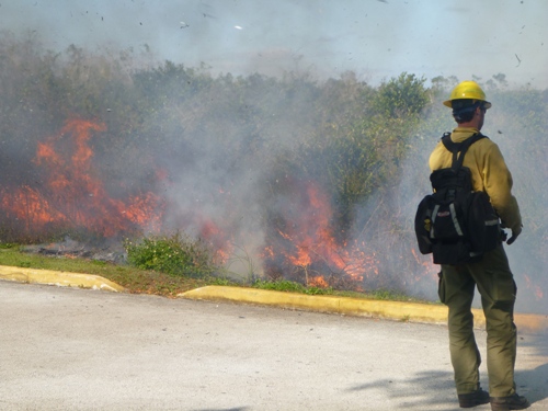 Everglades Firefighter monitors fire