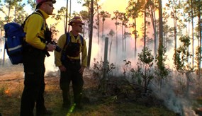 Prescribed fire specialists