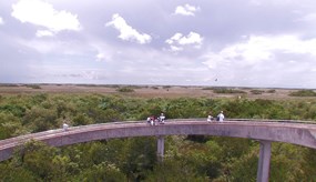 View from the Shark Valley observation tower