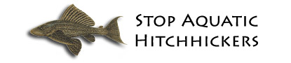 Aquatic Hitchhikers Banner
