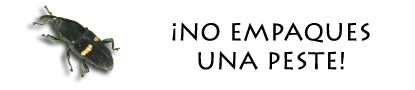 No Empaques Una Peste