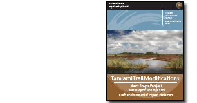 Tamiami Trail Next Steps Report