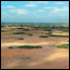 Aerial View of the Everglades