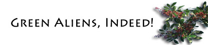 Green Aliens Banner