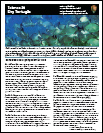 Science at Dry Tortugas Fact Sheet