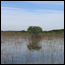 Everglades National Park