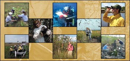 sfnrcprograms2