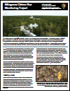 Fact Sheet Thumbnail