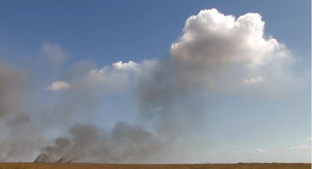 River of Grass Northeast Prescribed Burn as seen in "River of Fire"