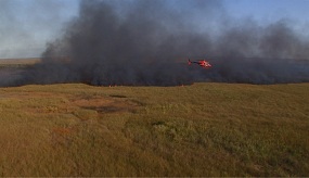 River Of Grass Burn