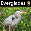 Everglades Podcast Artwork