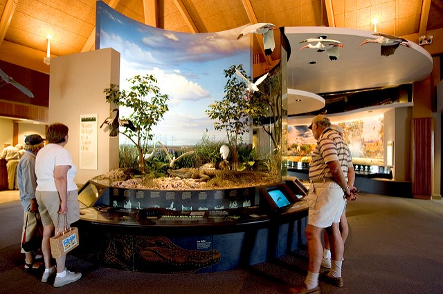 Ernest F Coe Visitor Center Everglades National Park U Ernest F Coe Visitor Center Everglades National Park U