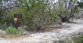 Coastal Prairie Trail