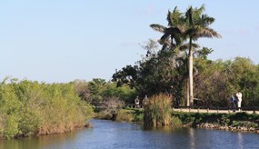 Everglades Aventura y Diversion Parte 2