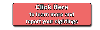 ReportingButton