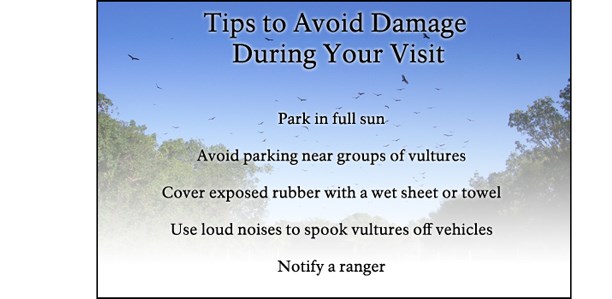 Tips to Prevent Damage