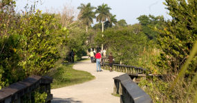 Anhinga Trail