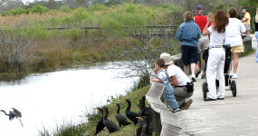 Visitors on the Anhinga Trail