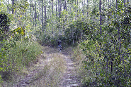 bike trail