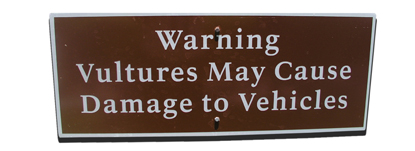 Vulture Warning