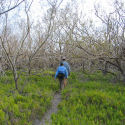 Christian Point Trail