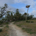 Guy Bradley Trail