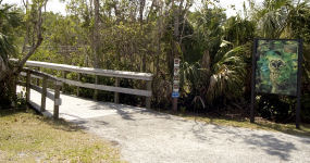 Mahogany Hammock Trail