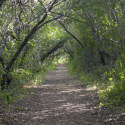 Snake Bight Trail