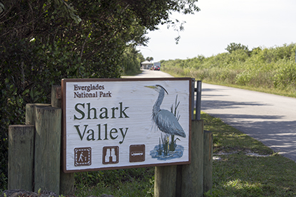 Shark Valley road sign