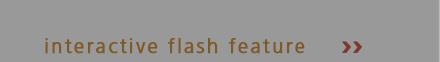 Interactive Flash Feature