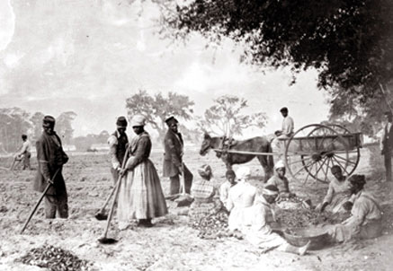 Civil War era farm workers