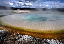 Colored rings around the edge of a hotspring represent different microbe species
