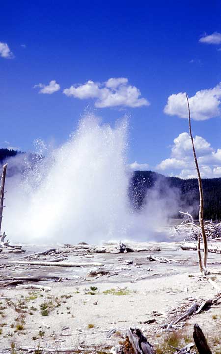Seismic Geyser erupts