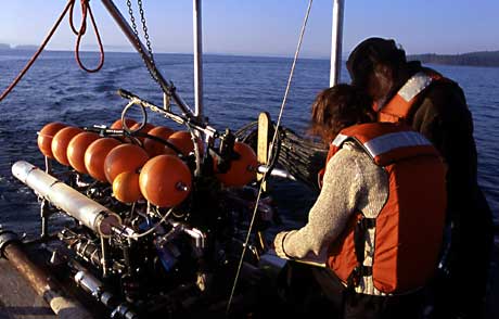 scientists prepare to launch the ROV