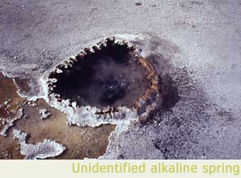 an alkaline spring