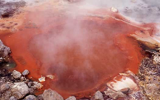 Bright colors in this hot spring are attributed to trillions of microorganisms