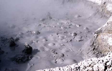 a bubbling grey mudpot