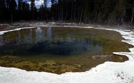 Thermophiles add color to this hot spring